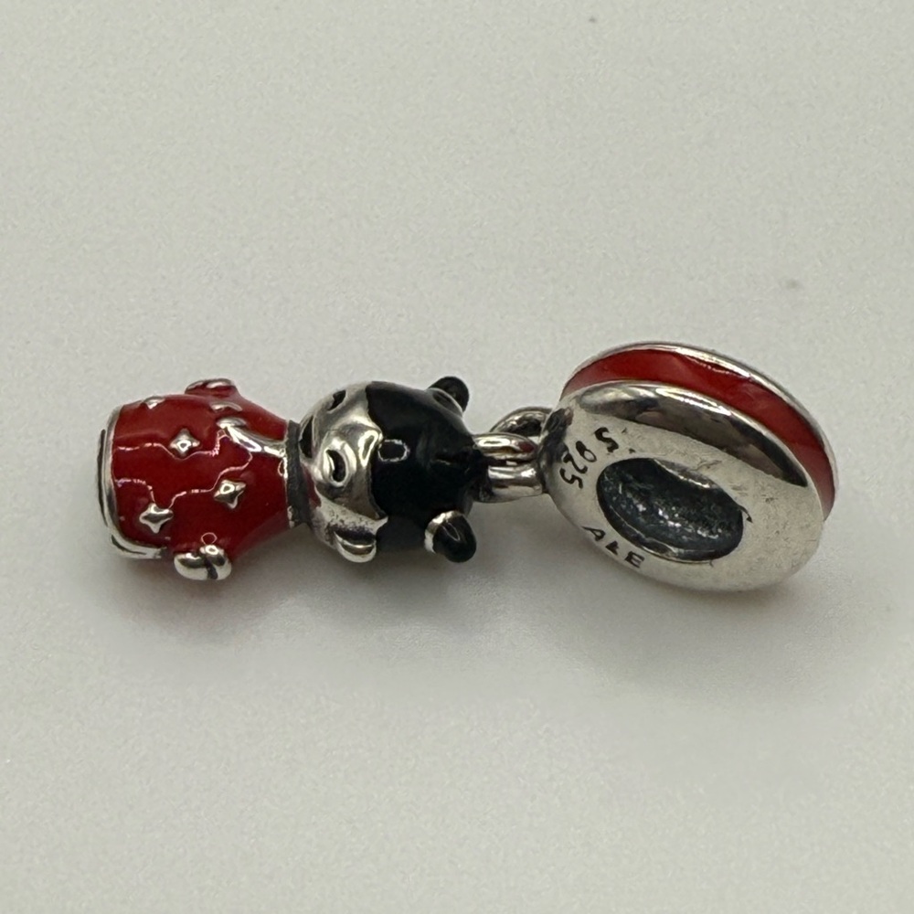 Pandora CHOICE of 1 or 2 or 3 of these Beautiful Asian Charms! CHOOSE! - Picture 11 of 13